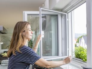 Insektenschutz, Insektengitter, Insektenfenster